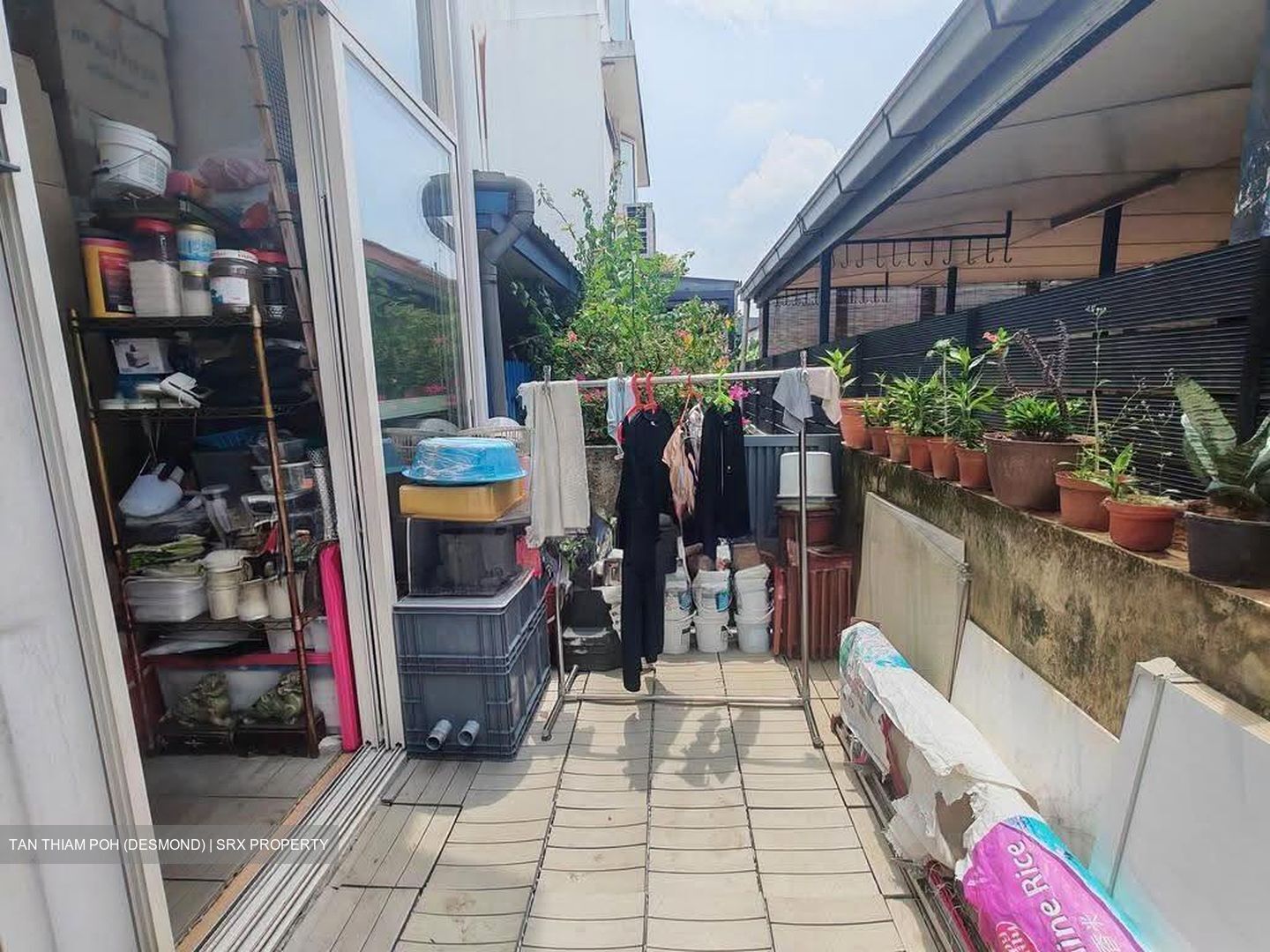 Thrift Drive (D19), Terrace #624093991